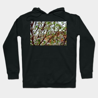 Manitou Springs Blossoms Hoodie